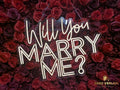 Leuchtschild "Will you marry me?"