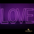 XXL Leuchtschrift LOVE 120cm mit Neonlicht - Farbwechsel per App